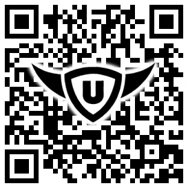 QR-Code Stonies