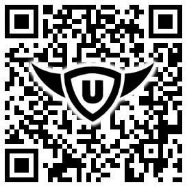 QR-Code Stonies