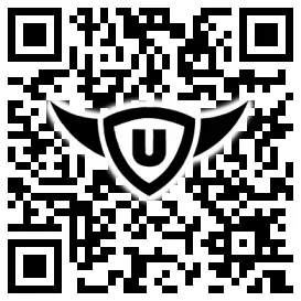 QR-Code Stonies