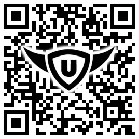 QR-Code Stonies