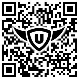 QR-Code Stonies
