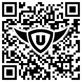 QR-Code Stonies