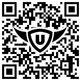 QR-Code Stonies