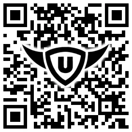 QR-Code Stonies