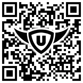 QR-Code Stonies