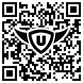 QR-Code Stonies