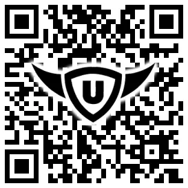 QR-Code Stonies