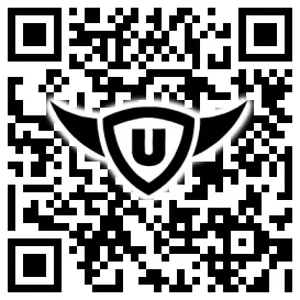 QR-Code Stonies