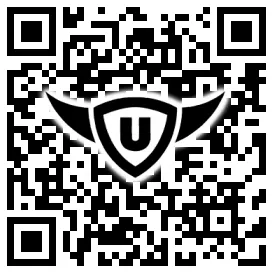 QR-Code Stonies