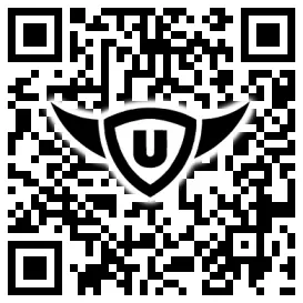 QR-Code Stonies