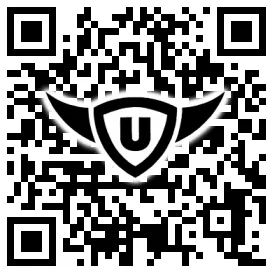 QR-Code Stonies