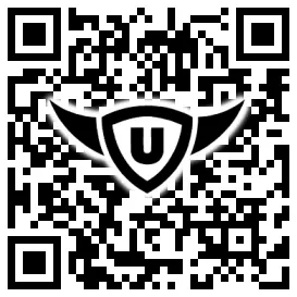 QR-Code Stonies