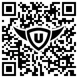 QR-Code Stonies